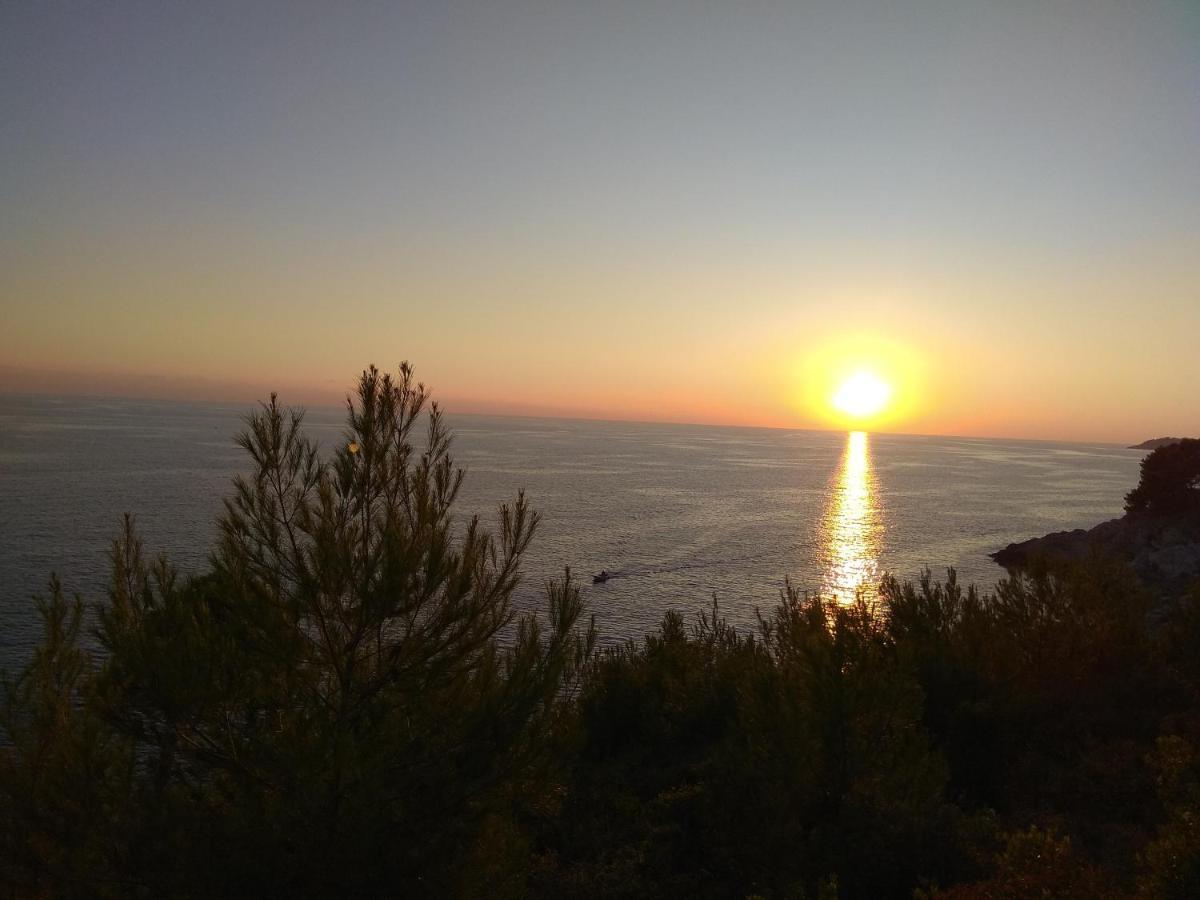Villa Zora, Starigrad Paklenica, Seline Ngoại thất bức ảnh